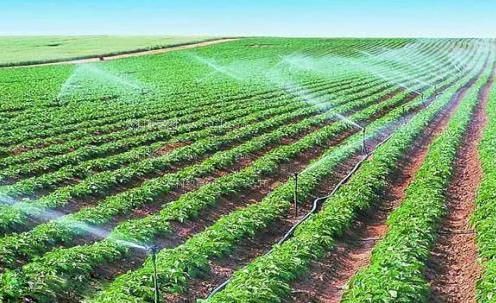 偷拍操屄视频农田高 效节水灌溉